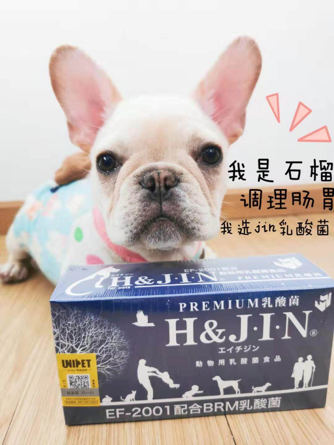 日本jin进口乳酸菌犬猫通用益生菌改善软便调理肠胃90支包邮 必应鸟