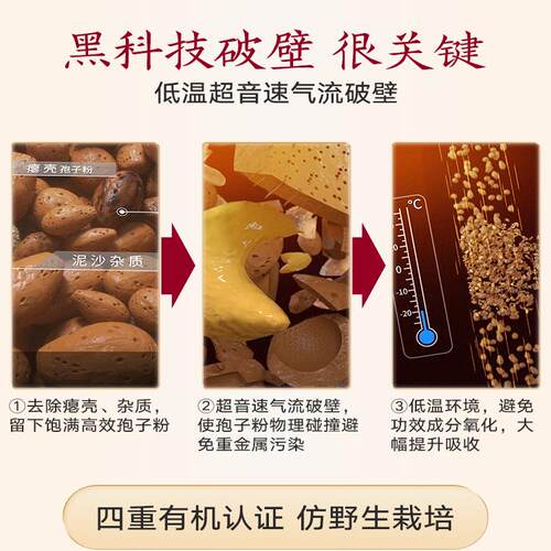 【破壁基础量】寿仙谷破壁灵芝孢子粉1g30包仙芝1号有机灵芝原料 - 图1