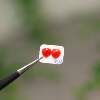 Deep sea red natural organic ruby peach heart noodles