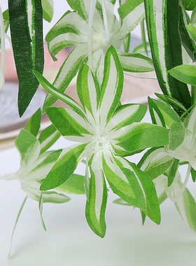 仿真吊兰婚庆绿植墙假花