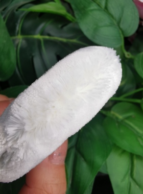 超柔进口高档立绒散粉脸部定妆