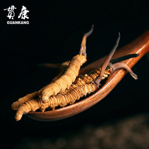 4条1克西藏那曲虫草冬虫夏草正品新鲜头期虫草正宗虫草贯康 - 图0