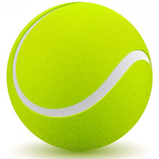 Амортизатор 温网网球减震器（一盒子5个装） 网球拍子避震器 shock trap