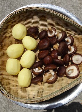 竹编筲箕簸箕竹刷 竹青篾传统工艺全竹子制成 淘米洗菜沥水收纳筐