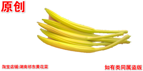 湖南祁东食用黄花菜种苗金针菜忘忧草大苗根庭院花卉坡道绿化盆栽 - 图1