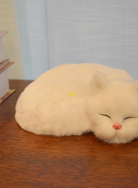 塑料摆件简约现代书桌创意