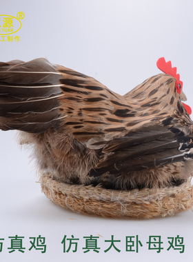 威源工艺品道具摄影仿真家居装饰