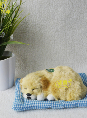 威源女友生日会叫外单布垫仿真狗