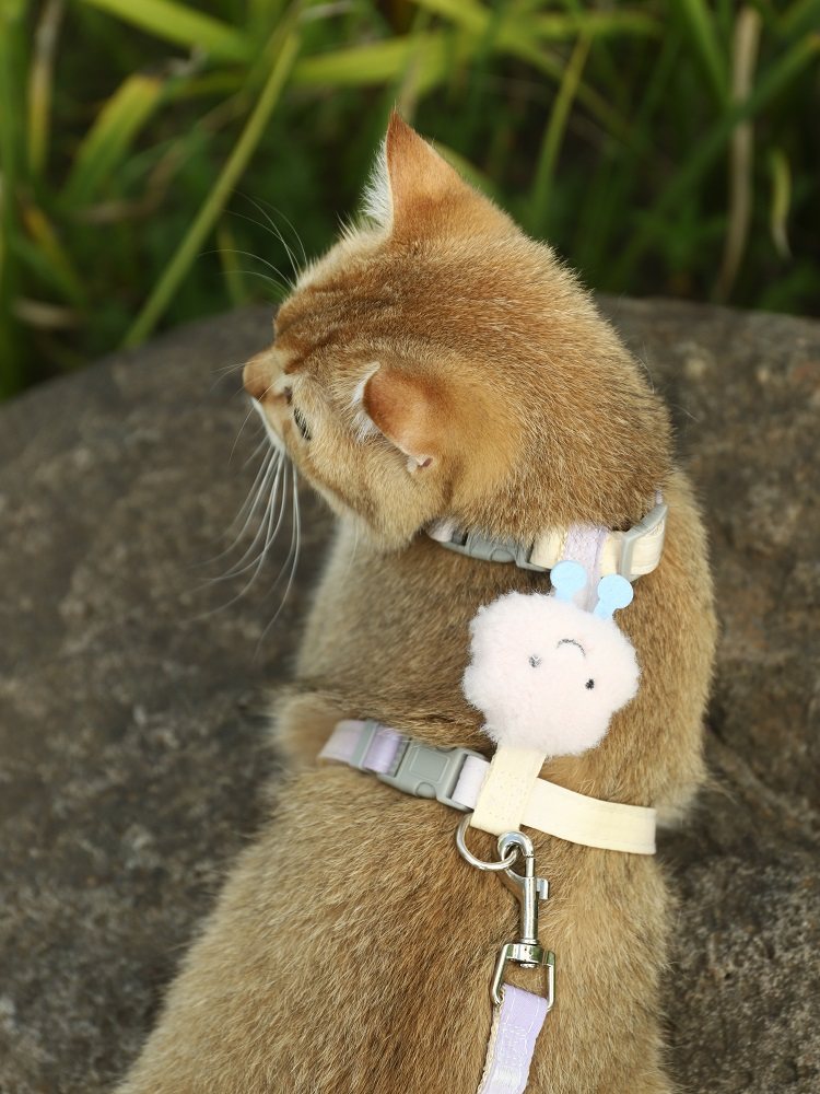 猫咪牵引绳遛猫绳防挣脱猫绳子猫猫外出栓猫链子猫背带可调节挂绳,淘宝优惠券,粉丝福利购,淘宝优惠卷