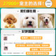 Albendazole tablets, anthelmintic drug for cats and dogs, Fenben
