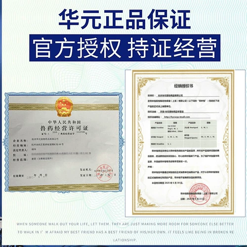 Супер доверенное тело собаки и вне тела и вне тела плюшевых домашних животных в теле и за пределами тела всех собак, используемых в теле