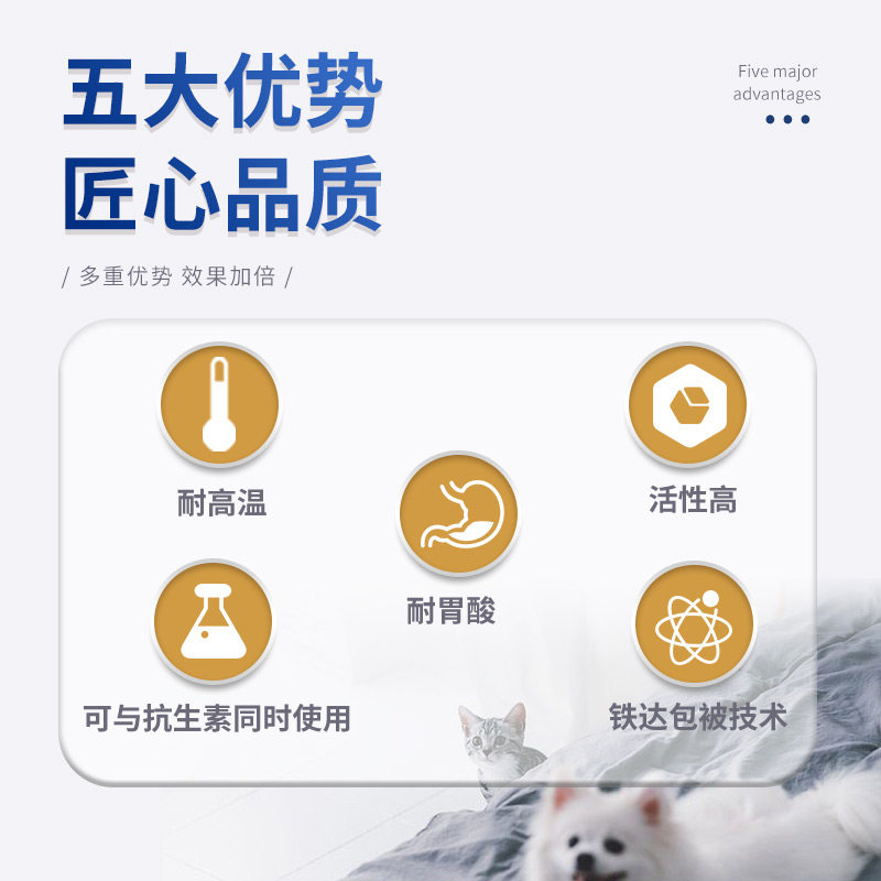 mag猫咪益生菌布拉迪分装调理酵母 华元宠物用品猫/狗保健品
