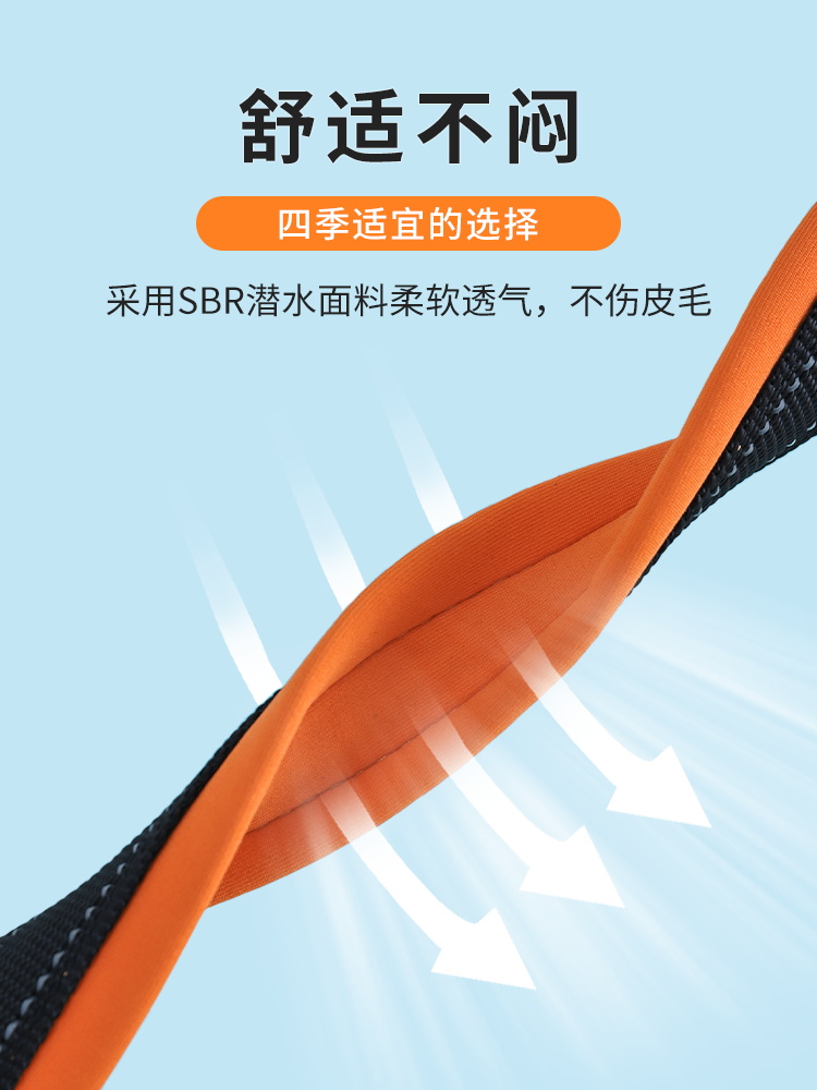 狗狗刻字项圈猫宠物狗牌防丢定制脖圈泰迪金毛柴犬小中大型犬用品 - 图1