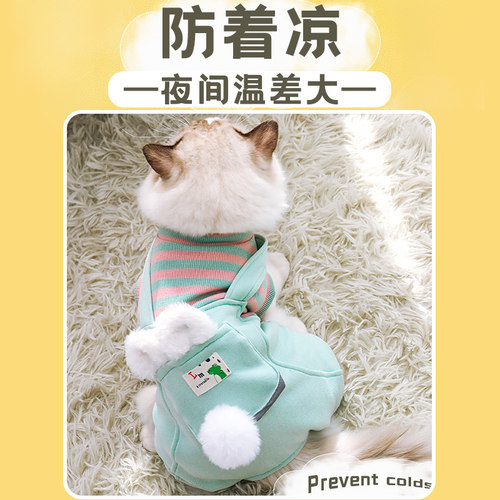 猫咪衣服冬装猫猫冬天保暖防掉毛幼猫布偶德文宠物小猫加厚保暖衣 - 图2
