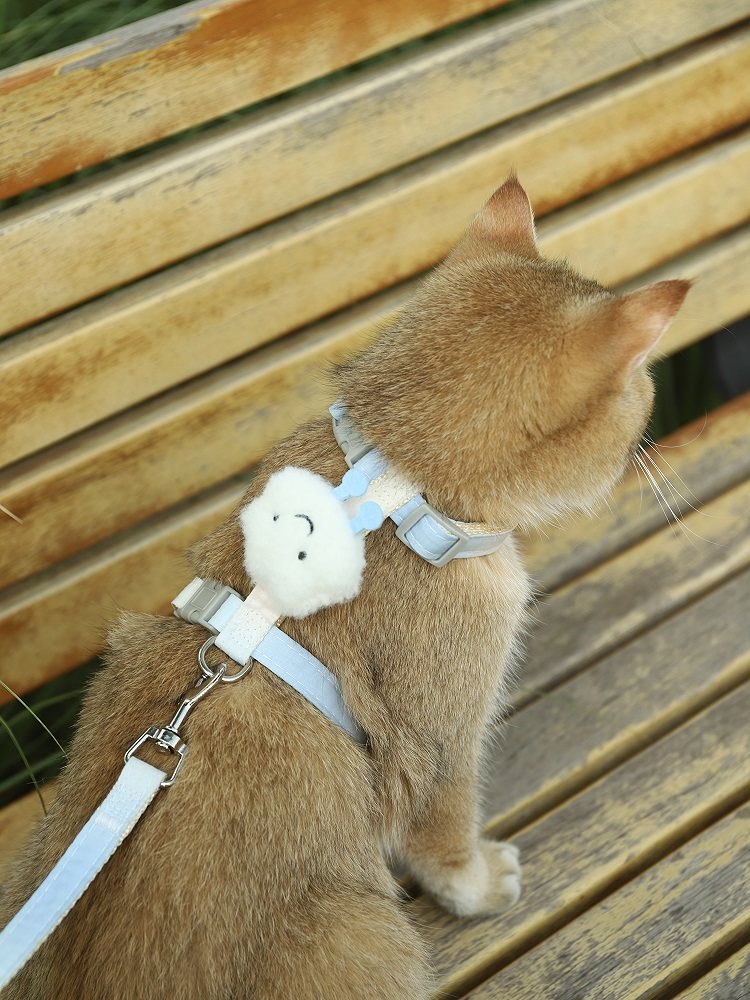猫咪牵引绳遛猫绳防挣脱猫绳子猫猫外出栓猫链子猫背带可调节挂绳,淘宝优惠券,粉丝福利购,淘宝优惠卷