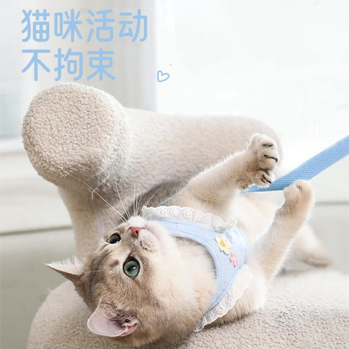 猫咪牵引绳防挣脱外出专用背心式不勒脖小猫猫幼猫胸背带遛猫绳子 - 图2