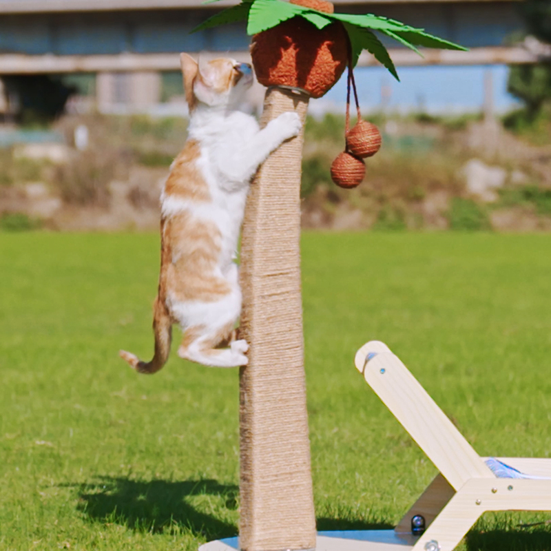 猫窝夏季四季通用猫床宠物床吊床猫用小沙发椅猫抓板猫咪躺椅夏天 - 图0