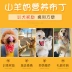 Đồ ăn nhẹ cho chó CẢ HAI sữa dê pudding thú cưng Chó con hơn gấu đào tạo phần thưởng cho chó đường 舔舔 - Đồ ăn vặt cho chó hạt cho poodle Đồ ăn vặt cho chó