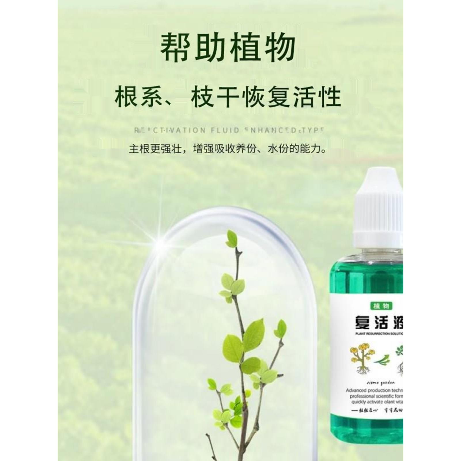 植物复活液激发植物枝干根系生长活力促生新根新芽绿植花卉都可以-图1