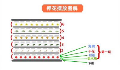 压花器押花器押花工具手工压花套装自制干花工具买一送四 虎窝淘