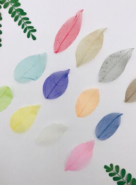 树叶干花网叶diy叶脉贴画