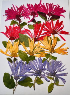 香薰蜡烛干花DIY亲子活动贴画