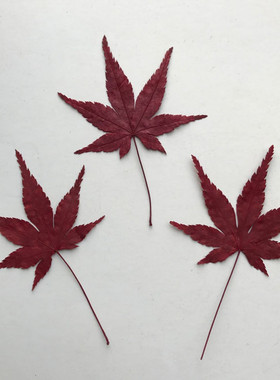 叶红贺卡diy滴胶手机壳押花画