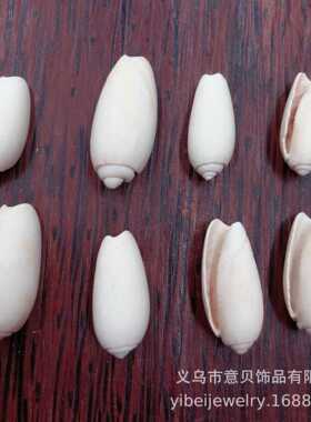 无孔仙女螺白色 海螺贝壳装饰品 鱼缸水族箱景观摆件 画框设计