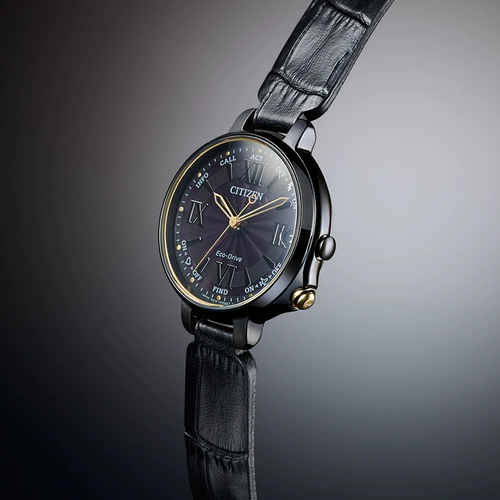 Официальная подлинная оптическая кинетическая энергия West Rail City Bluetooth Multi -Functional Leisure Limited Ladies Watch EE4058