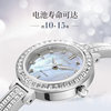 Citizen Japan Official Gypsophila Niche Dial