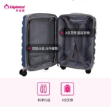 diplomat Универсальный чемодан, коробка