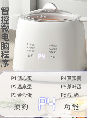 多功能家用煮蛋器蛋羹酸奶机