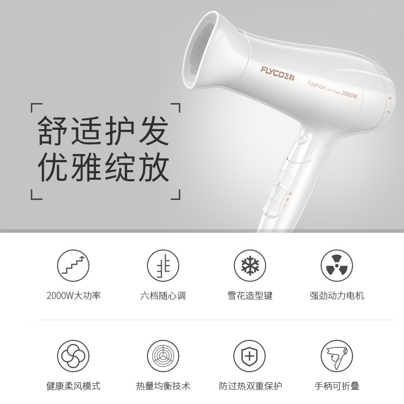 飞科鼎发专卖店飞科电吹风机家用大功率宿舍用学生发廊静音发型师专用冷热吹风筒3