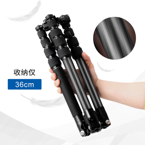 【碳纤维脚架承重25KG】BENRO百诺三脚架MC19数码微单反相机支架摄影摄像独脚架轻便球形云台拍视频直播手机 - 图1