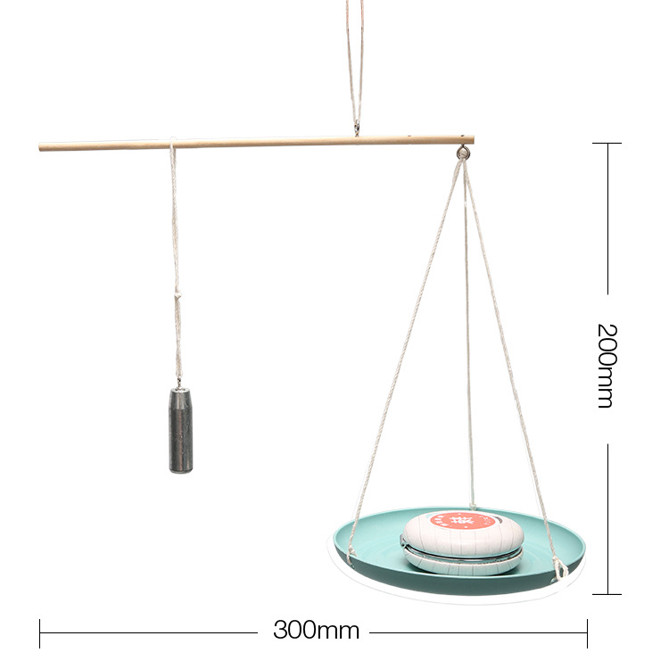 科技小制作手工DIY科学实验材料教学用具自制小秤杆中小学生学具 - 图0