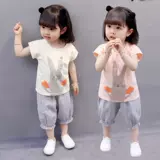 2022  疂 疂 疂 疂 濆  瑁呭 瑁呭 瑁呭               ?