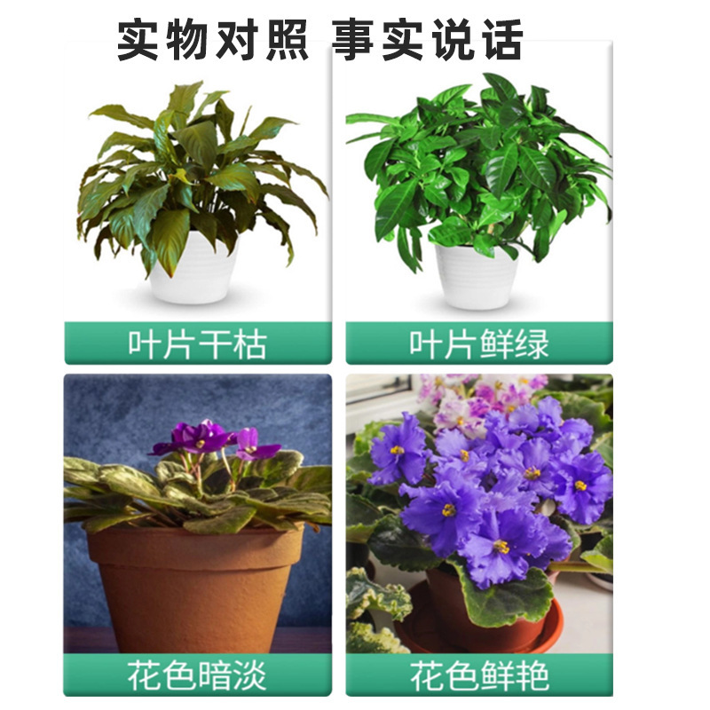 国光甲磷酸二氢钾闪溶蔬菜家用花卉肥花肥通用钾肥磷肥叶面肥料. - 图1