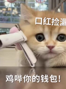9月19号 特价清仓福利 腮红口红眼影香水 微瑕疵不售后