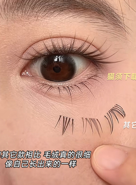 免胶水自粘！婉嫔新品猫须下睫毛