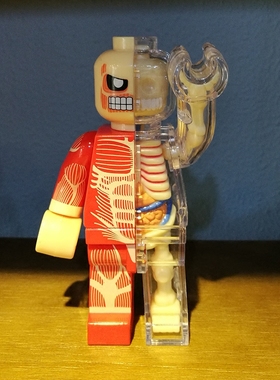 创意透视积木人骨骼模型4dmaster