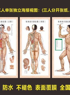 人体经络穴位图中医针灸养生养生贴墙标准全套海报室内挂图贴画