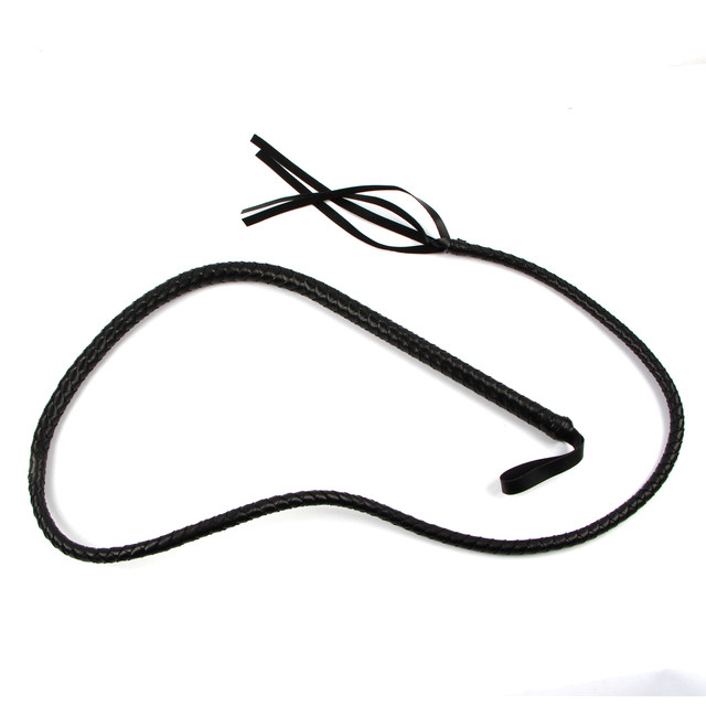 Tutor Vaults Dino Leather Whip