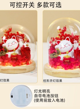 招财猫永生花diy手工材料包水晶球玻璃罩小夜灯微景观摆件礼物