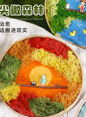 永生苔藓画材料包儿童手工DIY竹框竹编筐植物画绿植相框羊年