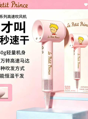 小王子联名吹风机负离子暖风机生日礼物送女生朋友实用的送老婆