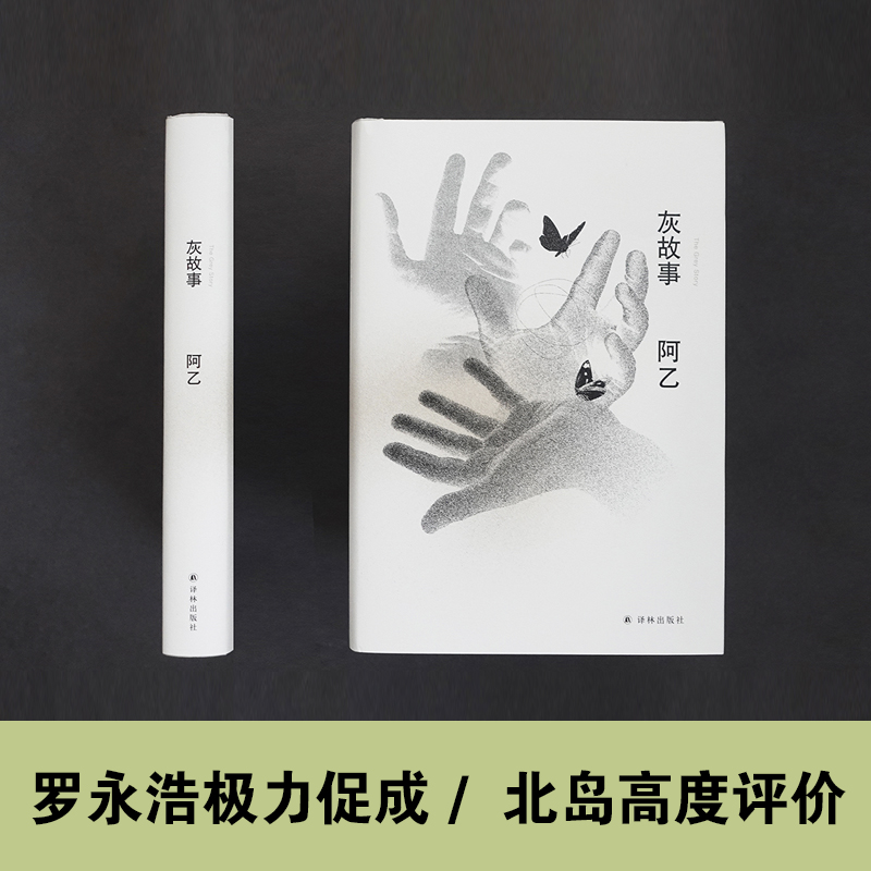 灰故事 阿乙崭露头角之作，罗永浩极力促成，北岛高度评价，收录电视剧《开端》同题材小说《情人节爆炸案》 - 图0