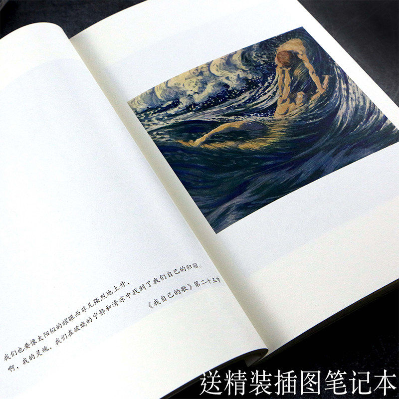 【新华书店正版现货】草叶集上下全套2册精装美国现代诗歌之父惠特曼奠定世界声誉之作美国文化经典诗集外国文学诗歌词曲书籍_虎窝淘