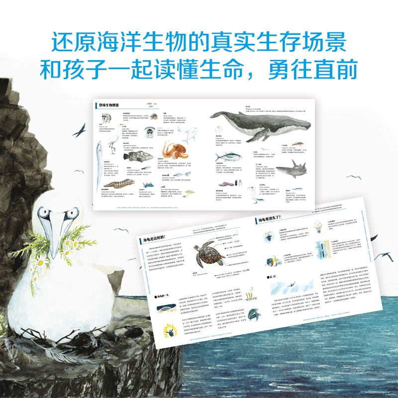 正版现货 一只海龟的旅程 日本知名动物画家河崎俊一作品 海龟 动物 科普 故事 生命教育 生命 新华书店书籍