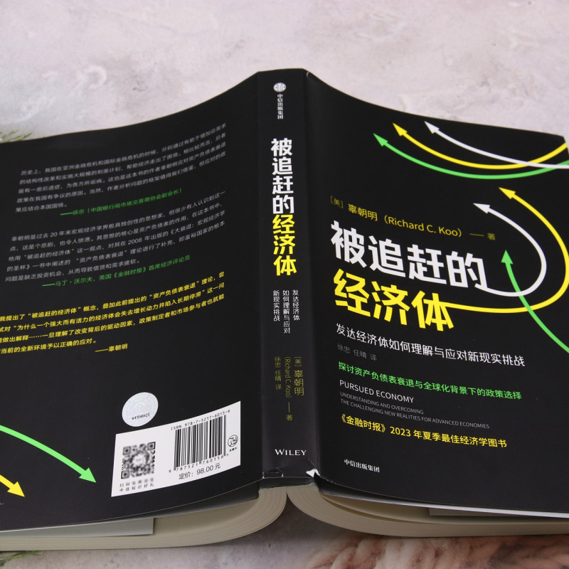 被追赶的经济体 辜朝明著 探讨资产负债表衰退与全球化背景下的政策选择 中信出版社图书 正版 - 图2