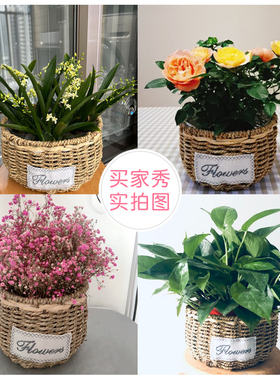 2026新款手工藤编花篮客厅装饰